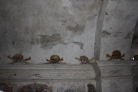 IMG 3637 web